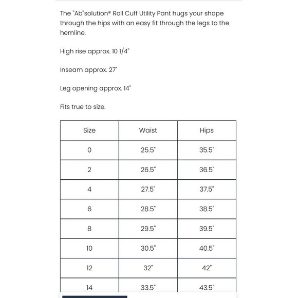 Democracy Ab Solution Cargo Utility Pants 12 Dark Orange High Rise Shaping Chic - Picture 11 of 12